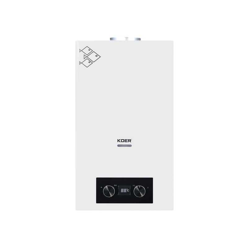 Газова колонка Koer KWH.G0110 WHITE димохідна 10 л/хв, колір білий (KR5553)